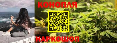 не бодяженный Камышлов