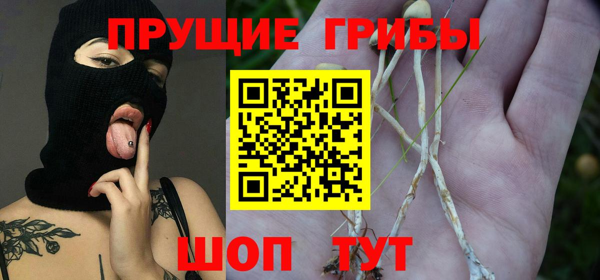 закладки  Галлюциногенные грибы GOLDEN TEACHER  Вход с VPN  Кропоткин 