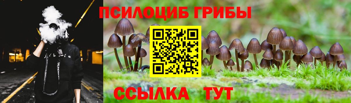 Псилоцибиновые грибы прущие грибы Кропоткин